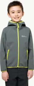 Jack Wolfskin Fourwinds Funktionsjacke slate green (Junior)