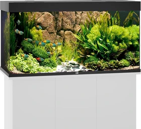 Juwel Rio 350 LED Aquarium-Set, schwarz, 350l