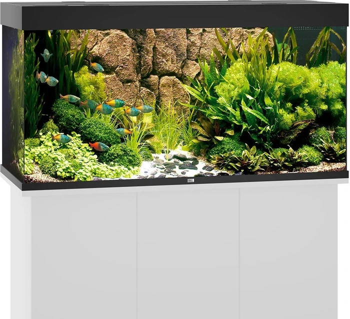 Juwel Rio 350 LED Aquarium