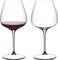 Riedel Grape@Riedel Vorschaubild