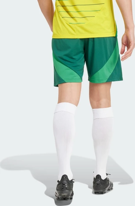 adidas Celtic FC 2024/2025 Auswärtsshorts team dark green (Herren)