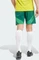 adidas Celtic FC 2024/2025 Auswärtsshorts team dark green (Herren) Vorschaubild