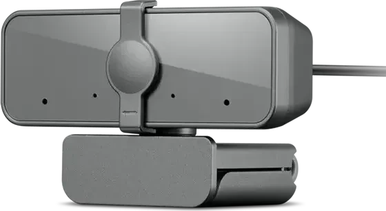 Lenovo Select Webcam, grau
