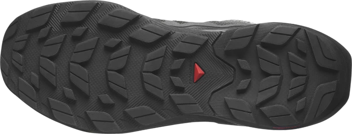 Salomon Elixir Activ GTX phantom/black/magnet (Herren)