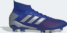 adidas Predator 19.1 FG bold blue/silver met./football blue (Herren)