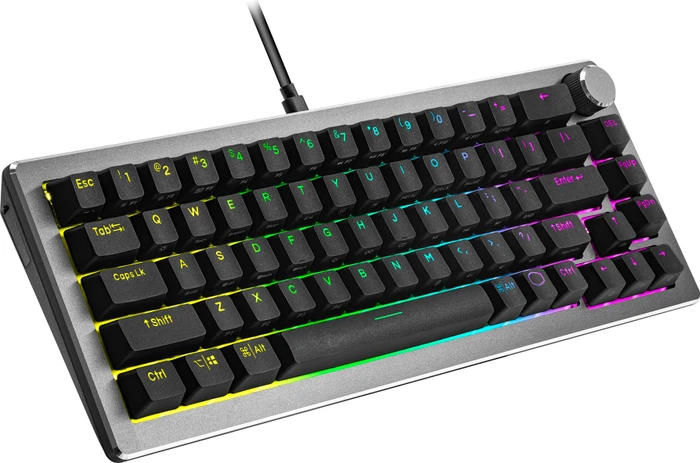 Cooler Master CK720, LEDs RGB, hot-swap, schwarz/grau, Kailh Box V2 BROWN, USB, US