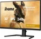 iiyama G-Master GB3290QSU-B1 Gold Phoenix, 31.5" Vorschaubild