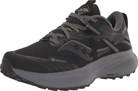 Saucony Ride 15 TR GTX black/charcoal (Damen)