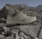 adidas Terrex Skychaser GTX putty beige/alumina/wonder beige (Herren) Vorschaubild