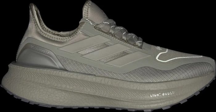 adidas Ultraboost 5 GTX silver pebble/grey five (Damen)