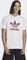 adidas Adicolor Classics Trefoil T-Shirt kurzarm white/shadow red (Herren) Vorschaubild
