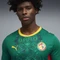 Puma FIFA WM 2026 Senegal Auswärtstrikot kurzarm wild green/puma red (Herren) Vorschaubild