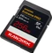 SanDisk Extreme PRO R310/W304 256GB, UHS-II, Class 10 Vorschaubild