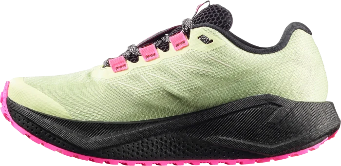 Salomon Aero Glide 3 GRVL GTX black/asphalt (Damen)
