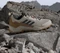 adidas Terrex AX4 wonder beige/carbon/pure ruby (Herren) Vorschaubild