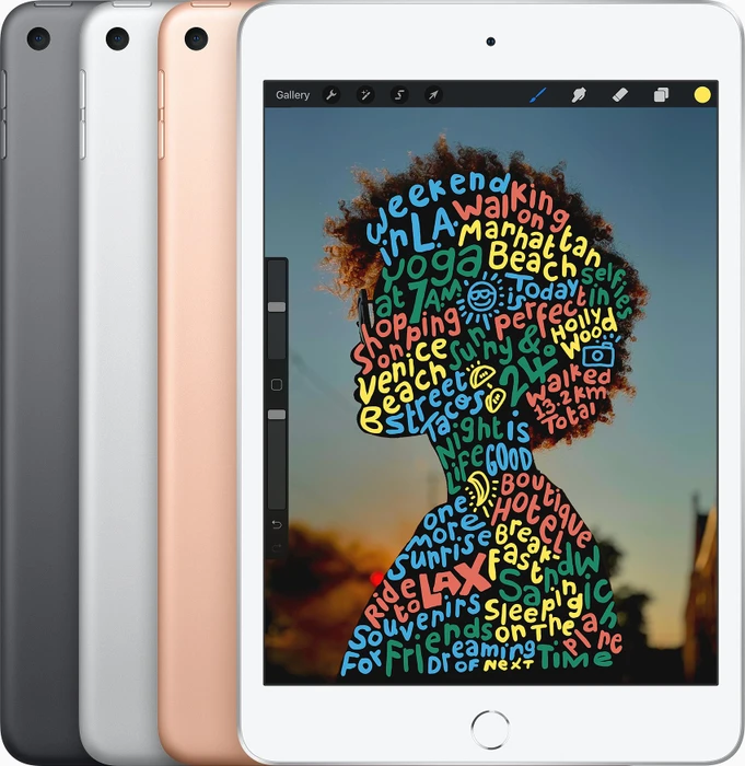 Apple iPad mini 5, Space Gray, 64GB