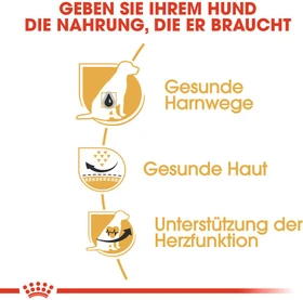 Royal Canin Dalmatiner Adult, 12kg