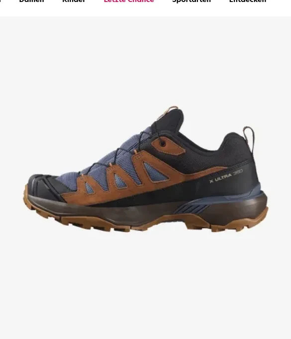 Salomon X Ultra 360 Leather GTX grisaille/caramel cafe/marmalade (Herren)