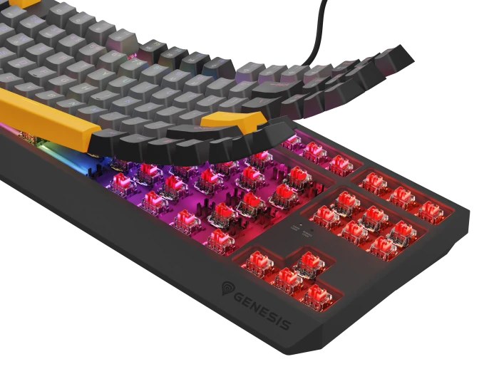 Genesis Thor 230 TKL, Anchor Gray Negative, LEDs RGB, hot-swap, Outemu Red, USB, US