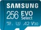 Samsung EVO Select R160 256GB Kit, UHS-I U3, A2, Class 10 Vorschaubild