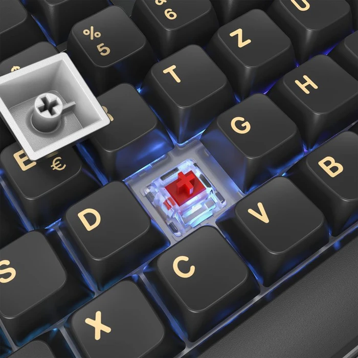 Montech MKey, Darkness, Fullsize, LEDs RGB, hot-swap, Gateron G Pro 2.0 RED, USB, DE