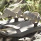 adidas Terrex Hydroterra Light Sandale charcoal solid grey/charcoal/semi spark Vorschaubild