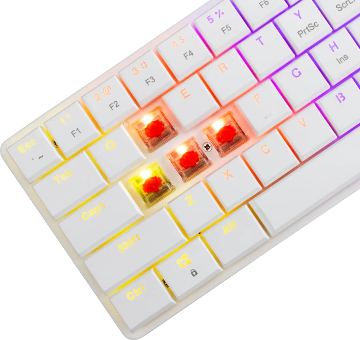 White Shark NAGAMAKI, weiß, LEDs RGB, low-profile RED Switches, USB, US