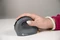 BakkerElkhuizen PRF Vertical Mouse Wireless, Vertikale Maus Rechts schwarz/grau, USB Vorschaubild