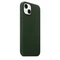 Apple Leder Case mit MagSafe für iPhone 13 schwarzgrün Vorschaubild
