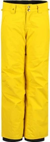 Quiksilver Estate Snowboardhose lang sulphur (Junior)