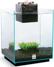 Fluval Chi Aquarium 19l