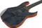 Ibanez GRGR221FA TDK Transparent Indigo Black Vorschaubild