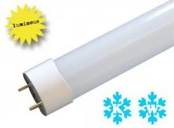 Luminous Röhre Ecoline 8W GU13 6000K (27842)