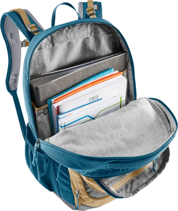 Deuter Cotogy clay/marine Schulrucksack