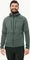 Jack Wolfskin Alpgrat Pro Ins Fz Funktionsjacke hedge green (Herren) Vorschaubild