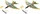 HABA Terra Kids Schleuder-Gleiter (303572)