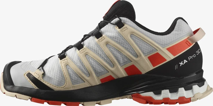 Salomon XA Pro 3D V8 GTX lunar rock/cherry tomato/sun kiss (Damen)