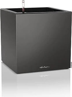 Lechuza Canto Premium