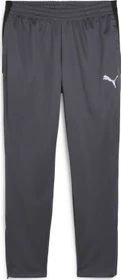 Puma individualLIGA Trainingshose lang galactic gray/yellow alert (Herren)