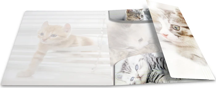 Herma Glossy Tiere Sammelmappe, A3, Katzen