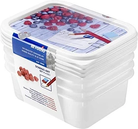 Rotho Domino Gefrierdose Aufbewahrungsbehälter 500ml, 4 Stück