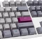 Ducky One 3 Mist Grey PBT, LEDs RGB, MX RGB ERGO CLEAR, USB, US Vorschaubild