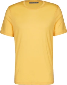 Icebreaker Merino Tech Lite II Funktionsshirt kurzarm summer (Herren)