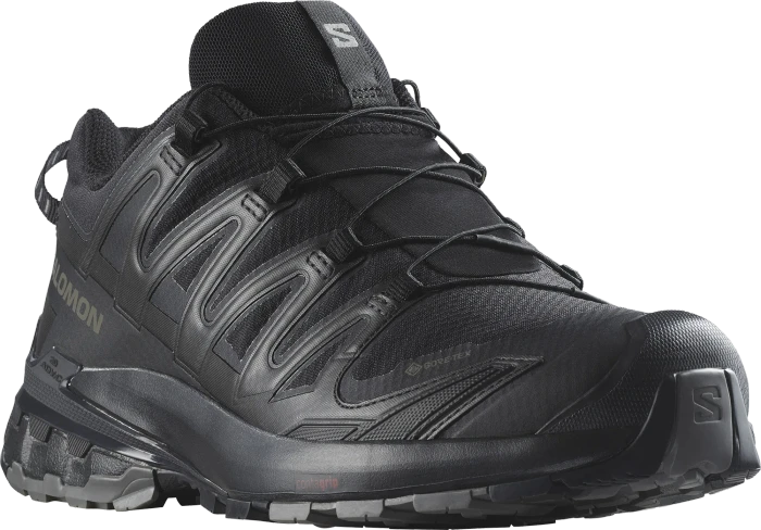 Salomon X Braze GTX (Herren)