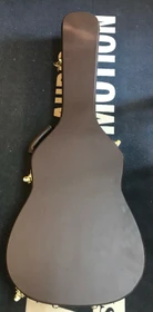 Ibanez FS40CL