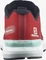 Salomon Sonic 4 Balance goji berry/white/black (Herren) Vorschaubild