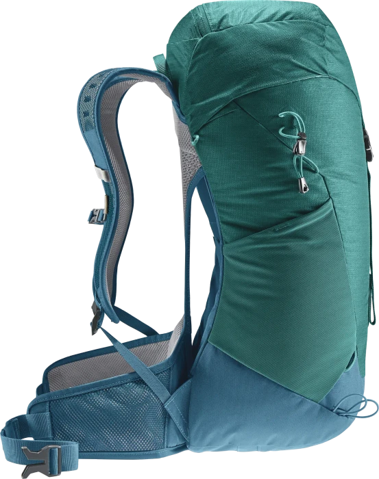 Deuter AC Lite 30 alpinegreen/arctic