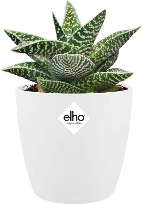 Elho Brussels Mini rund Blumentopf