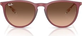 Ray-Ban RB4171 Erika Classic 54mm polished rubber violet/pink gradient brown