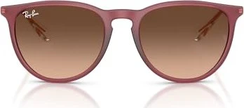 Ray-Ban RB4171 Erika Classic